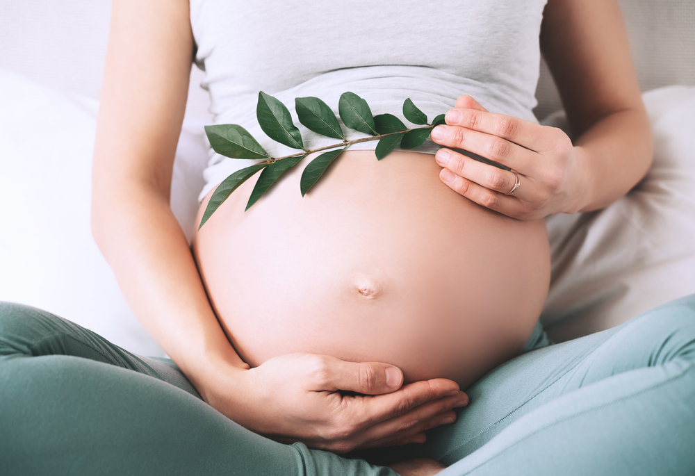 Surrogacy